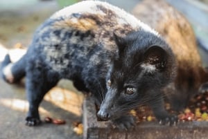 Bali : visite personnalisée du nord de Bali