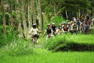 Tour in bicicletta nella campagna di Bali