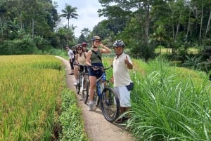 Cykeltur i det balinesiske landskab