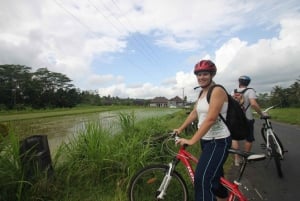 Passeio de bicicleta no campo de Bali