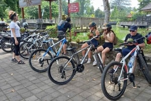 Bali : visite de la campagne à vélo