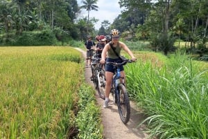Cykeltur på Bali på landsbygden