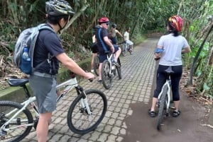 Bali : visite de la campagne à vélo