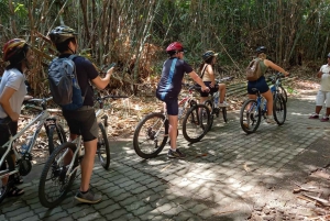 Wycieczka rowerowa po Bali