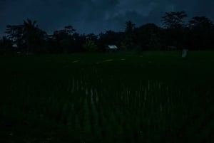 Bali: rytuały kulturowe, lokalna kuchnia i przygoda z świetlikami