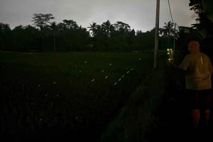 Bali: Cultural Ritual, Local Cuisine & Firefly Adventure