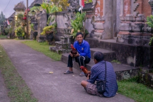 Bali: Cultural Ritual, Local Cuisine & Firefly Adventure