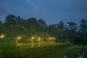 Bali: Cultural Ritual, Local Cuisine & Firefly Adventure