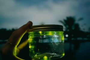 Bali: Cultural Ritual, Local Cuisine & Firefly Adventure