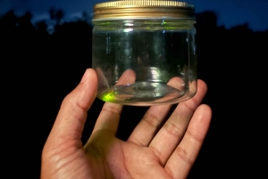 Bali: Cultural Ritual, Local Cuisine & Firefly Adventure