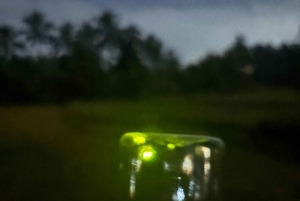 Bali: Cultural Ritual, Local Cuisine & Firefly Adventure