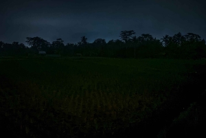 Bali: Cultural Ritual, Local Cuisine & Firefly Adventure