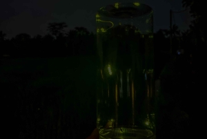 Bali: Cultural Ritual, Local Cuisine & Firefly Adventure