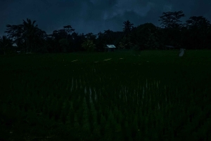 Bali: Cultural Ritual, Local Cuisine & Firefly Adventure