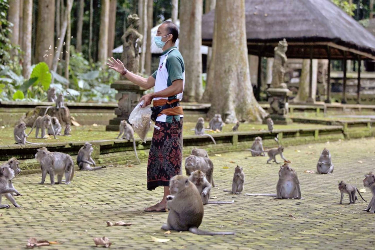 Bali: tour culturale e UNESCO con pranzo in casa