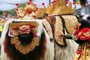 Bali: tour culturale e UNESCO con pranzo in casa