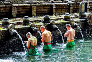 Bali: excursão privada de um dia a aldeia de património cultural e nascente sagrada