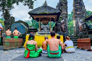 Bali: excursão privada de um dia a aldeia de património cultural e nascente sagrada