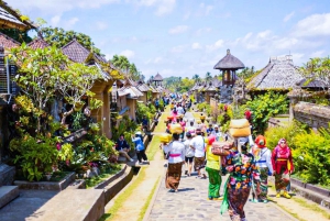 Bali: excursão privada de um dia a aldeia de património cultural e nascente sagrada
