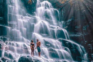 Bali: excursão privada de um dia a aldeia de património cultural e nascente sagrada