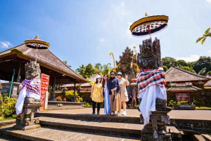 Bali: excursão privada de um dia a aldeia de património cultural e nascente sagrada
