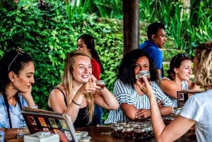Bali: excursão privada de um dia a aldeia de património cultural e nascente sagrada