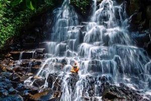 Bali: excursão privada de um dia a aldeia de património cultural e nascente sagrada