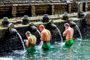 Bali: excursão privada de um dia a aldeia de património cultural e nascente sagrada