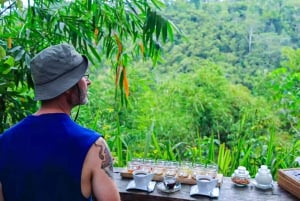 Bali: excursão privada de um dia a aldeia de património cultural e nascente sagrada