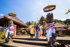 Bali: excursão privada de um dia a aldeia de património cultural e nascente sagrada