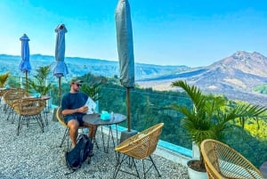 Bali: excursão privada de um dia a aldeia de património cultural e nascente sagrada