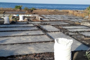 Bali: Skræddersyet privat tur i det østlige Bali med hoteltransport