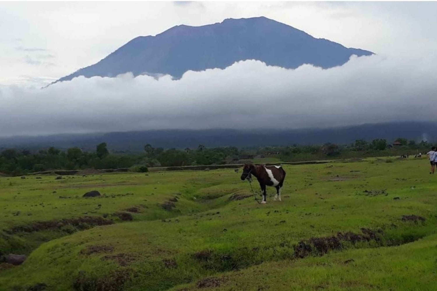 Bali: Skräddarsydd tur i östra Bali med transfer till hotellet