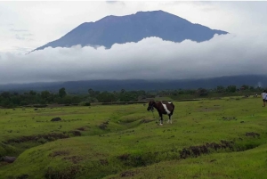 Bali: Skräddarsydd tur i östra Bali med transfer till hotellet