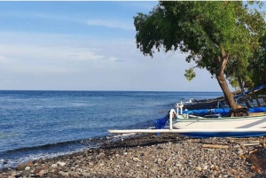 Bali: Skräddarsydd tur i östra Bali med transfer till hotellet