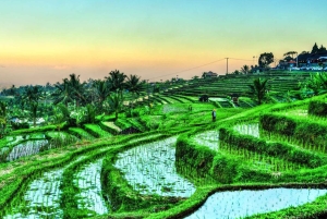 Bali: Customised North Bali Tour With Private Car and Driver