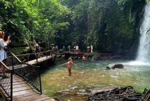 Bali : excursion personnalisée d'une journée à Ubud avec voiture privée et chauffeur