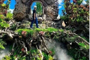 Bali : excursion personnalisée d'une journée à Ubud avec voiture privée et chauffeur