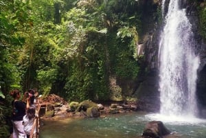 Bali : excursion personnalisée d'une journée à Ubud avec voiture privée et chauffeur