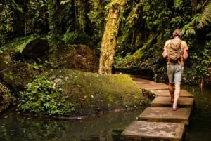 Bali : excursion personnalisée d'une journée à Ubud avec voiture privée et chauffeur