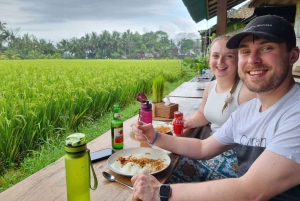 Bali: Fullt tilpassbar privat tur med sjåfør og guide