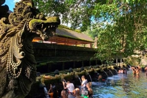 Bali : Customizable Full Day Tour with Driver-Guide