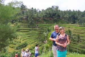 Bali : Customizable Full Day Tour with Driver-Guide
