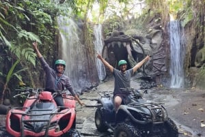 Bali: Fullt tilpassbar privat tur med sjåfør og guide