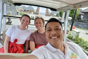 Bali : Vollständig anpassbare private Tour mit Fahrer-Guide