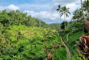 Bali : Fully Customizable Private Tour with Driver-Guide