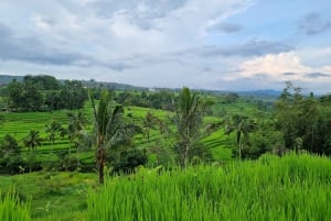 Bali: w pełni spersonalizowana prywatna wycieczka z przewodnikiem-kierowcą
