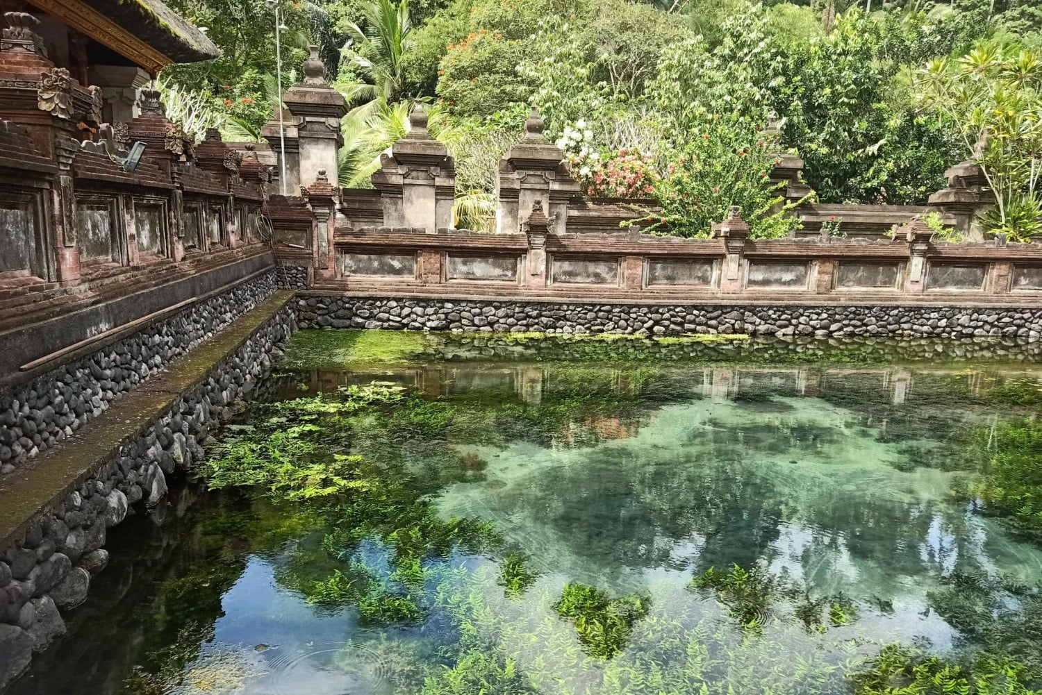 Bali: Customize Private Day Tour with Driver-Guide