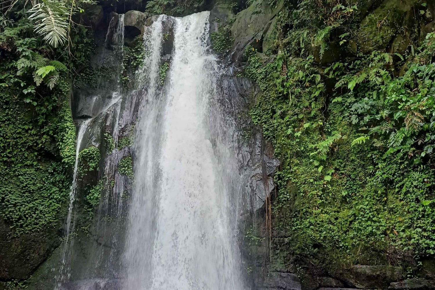 Bali: Customize Private Day Tour with Driver-Guide