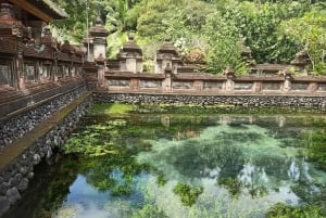 Bali: Customize Private Day Tour with Driver-Guide